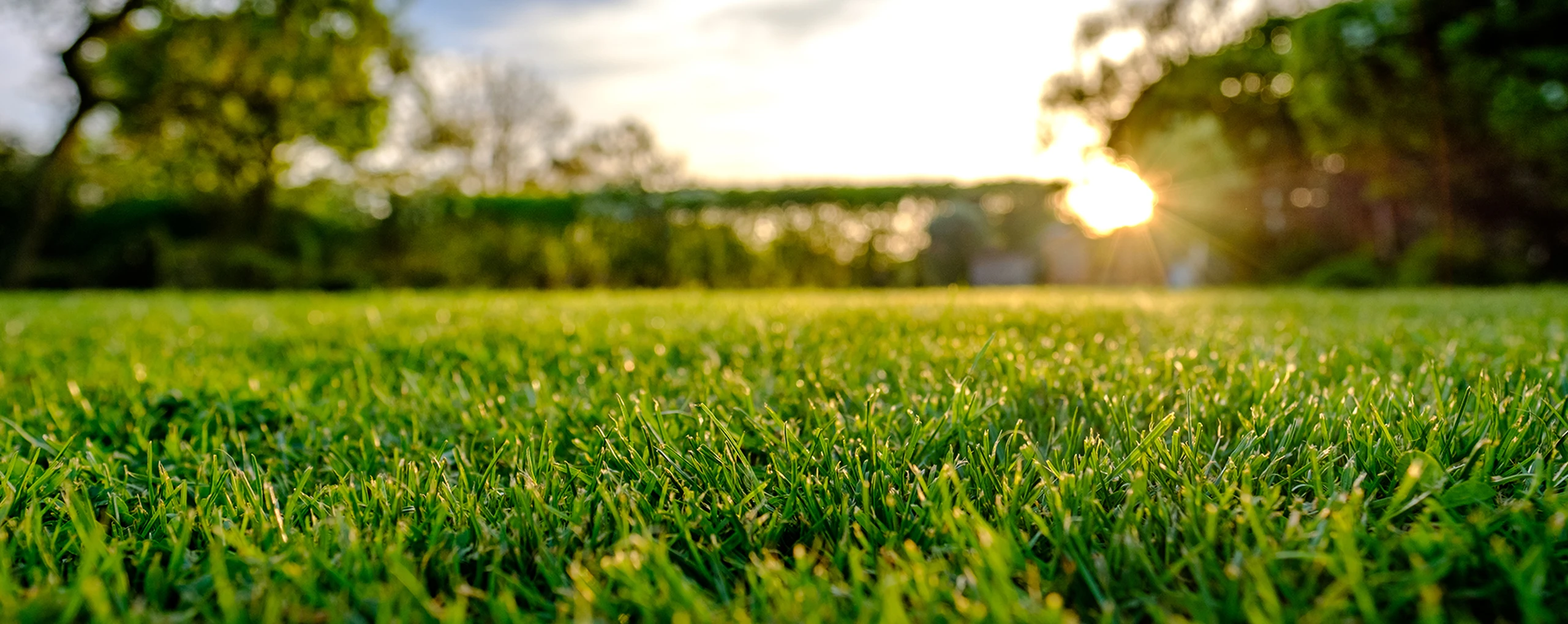 REALIZACE ZAHRAD A POKLÁDKA TRAVNÍHO KOBERCE